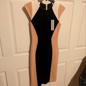 NWT Jay Godfrey Color Block Sheath Dress, Sz 2